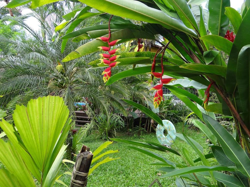 Eliconial Paraty Pousada Hotel Kültér fotó