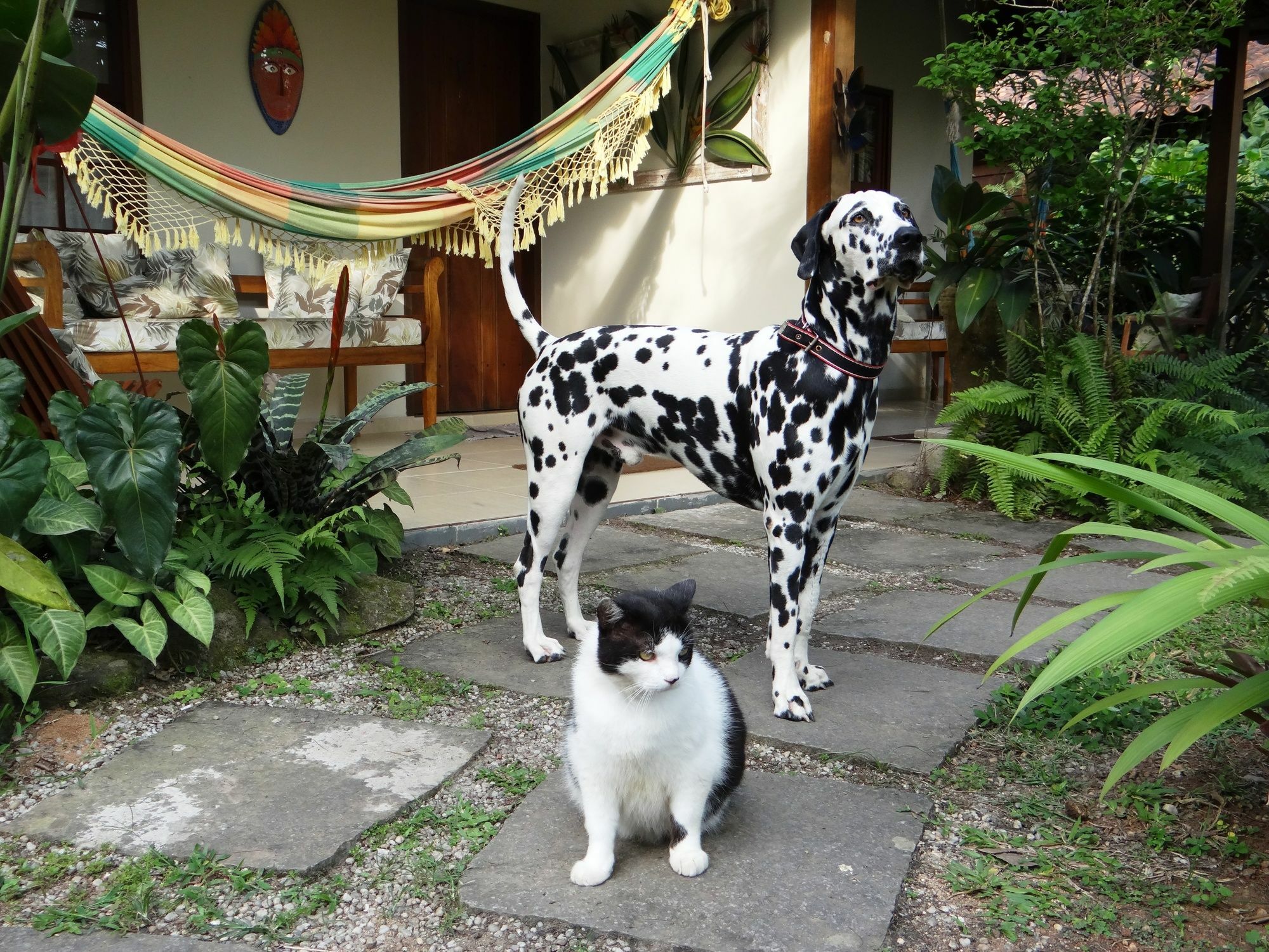 Eliconial Paraty Pousada Hotel Kültér fotó